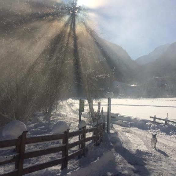 Alpen Apart Michael Mayrhofen Exterior foto